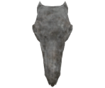 Bone Shield - Dark Souls II