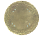 Large Leather Shield - Dark Souls II