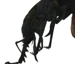 Corrosive Ant Queen - Dark Souls II