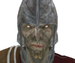 Falconer - Dark Souls II