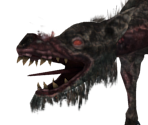 Stray Hound - Dark Souls II