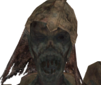 Ashen Warrior - Dark Souls II