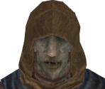 Foreign Wanderer - Dark Souls II