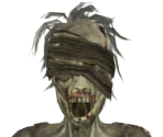 Hollow Crawler - Dark Souls II