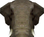 Elephant - Postal 2