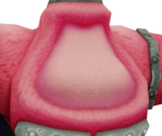 023 General (Princess) - Miitopia