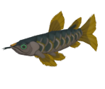 Ancient Arowana - The Legend of Zelda: Tears of the Kingdom