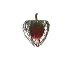 Fire Fruit - The Legend of Zelda: Tears of the Kingdom