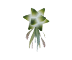 Dazzlefruit - The Legend of Zelda: Tears of the Kingdom