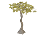 Elemental Fruit Tree - The Legend of Zelda: Tears of the Kingdom