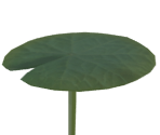 Lily Pad - The Legend of Zelda: Tears of the Kingdom