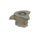 Spiny Bone - The Legend of Zelda: Tears of the Kingdom