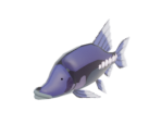 Glowing Cave Fish - The Legend of Zelda: Tears of the Kingdom
