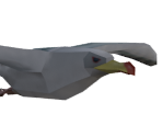 Seagull - The Legend of Zelda: Tears of the Kingdom