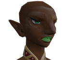 UMii Gerudo Bodies - The Legend of Zelda: Tears of the Kingdom