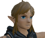 Hylian Hood (Down) - The Legend of Zelda: Tears of the Kingdom