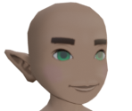 UMii Hylian Faces - The Legend of Zelda: Tears of the Kingdom