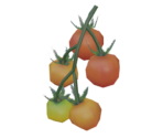 Hylian Tomato - The Legend of Zelda: Tears of the Kingdom