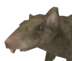 Rat - Baldur's Gate: Dark Alliance