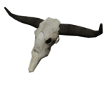 Bull Skull - Dead Rising 2