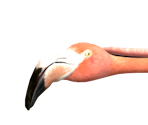 Flamingo (Valentino Salami) - Goat Simulator