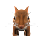The Rodent - SpongeBob HeroPants