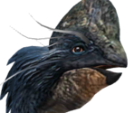 Rinchenia - Jurassic World: The Game