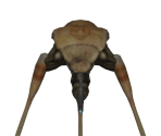 Strider - Half-Life 2