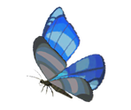 Butterfly - The Legend of Zelda: Breath of the Wild