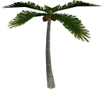 Palm Tree - The Legend of Zelda: Majora's Mask 3D