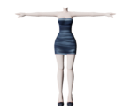Tube Dress - Honey Blade 2
