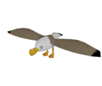 Seagull - The Legend of Zelda: The Wind Waker