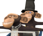Chimps - Madagascar Kartz