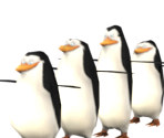 Penguins - Madagascar Kartz
