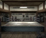 Stapleton Athletics (Venue) - Def Jam: Fight for New York