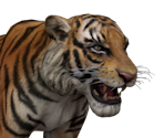 Tiger - Saints Row: The Third
