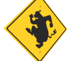 Memory Card Icon - Barnyard