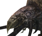 Acid Horn Beetle - Dark Souls II