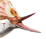 Aknosom - Monster Hunter Rise