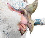 Bishaten - Monster Hunter Rise