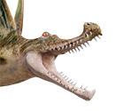 Delex - Monster Hunter Rise