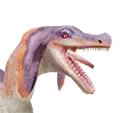 Jaggia - Monster Hunter Rise