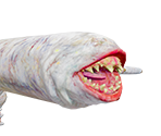 Khezu - Monster Hunter Rise