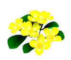 Flowers - Super Mario Galaxy