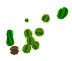 Dusty Dune Decorations - Super Mario Galaxy
