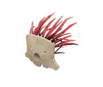 Mask of the Shaman - Team Fortress 2