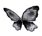 Butterfly - Super Mario Galaxy