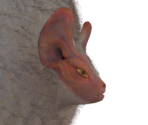 Paolumu - Monster Hunter World