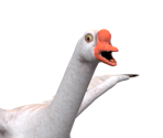 Wild Goose - DreamWorks All-Star Kart Racing