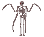 Skull Demon - King's Field